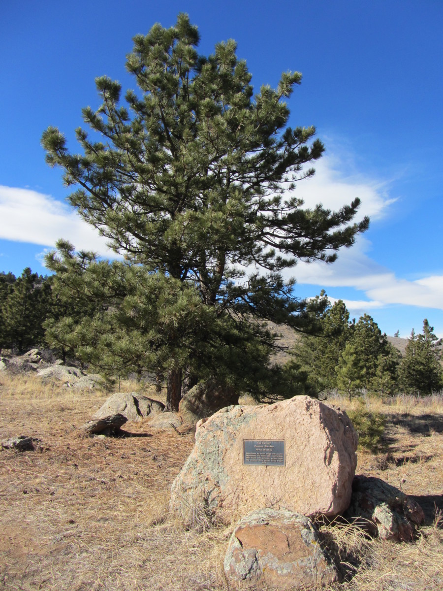 Plaque along the Shoshone Trail