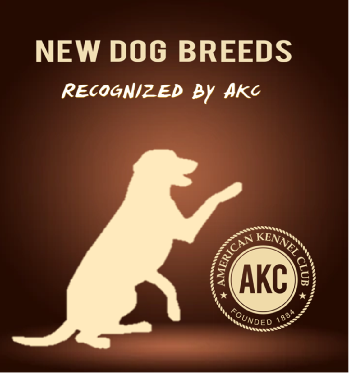 11 Newest Dog Breeds Recognized by AKC Till 2016