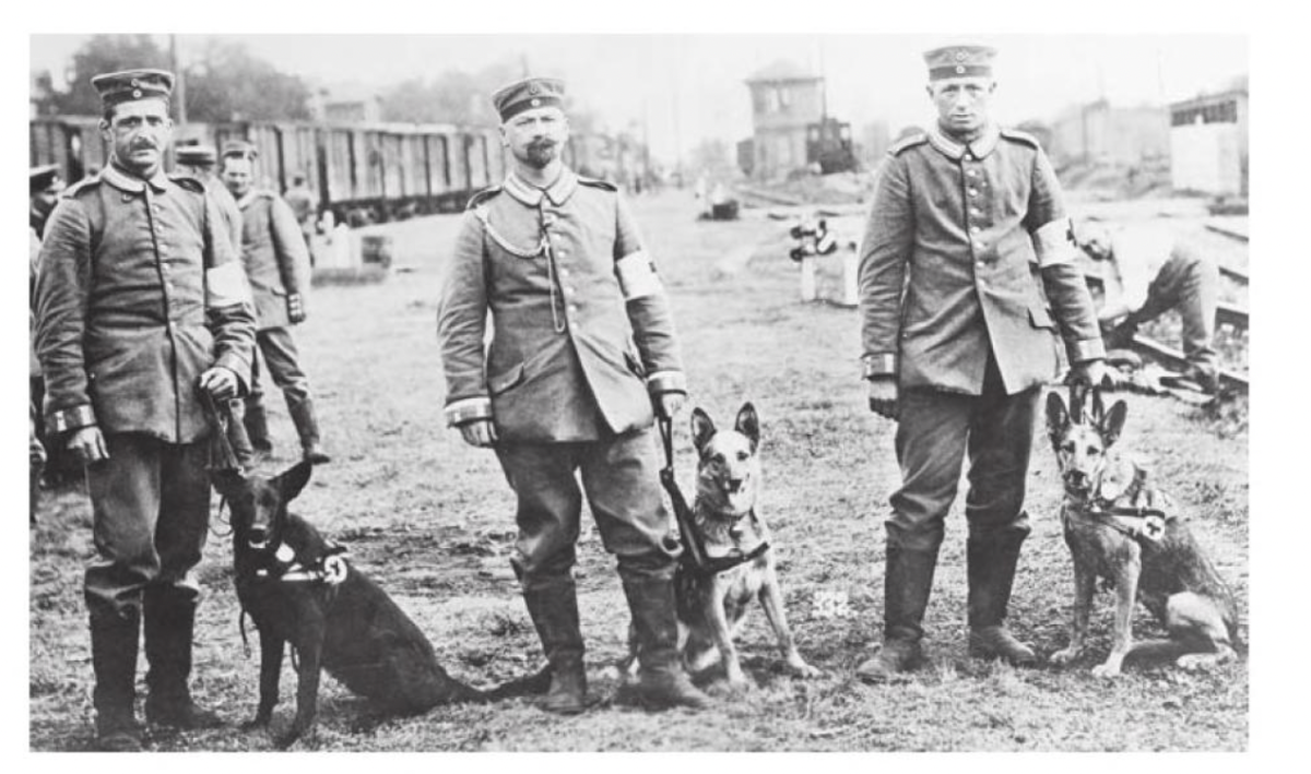 the-war-dogs