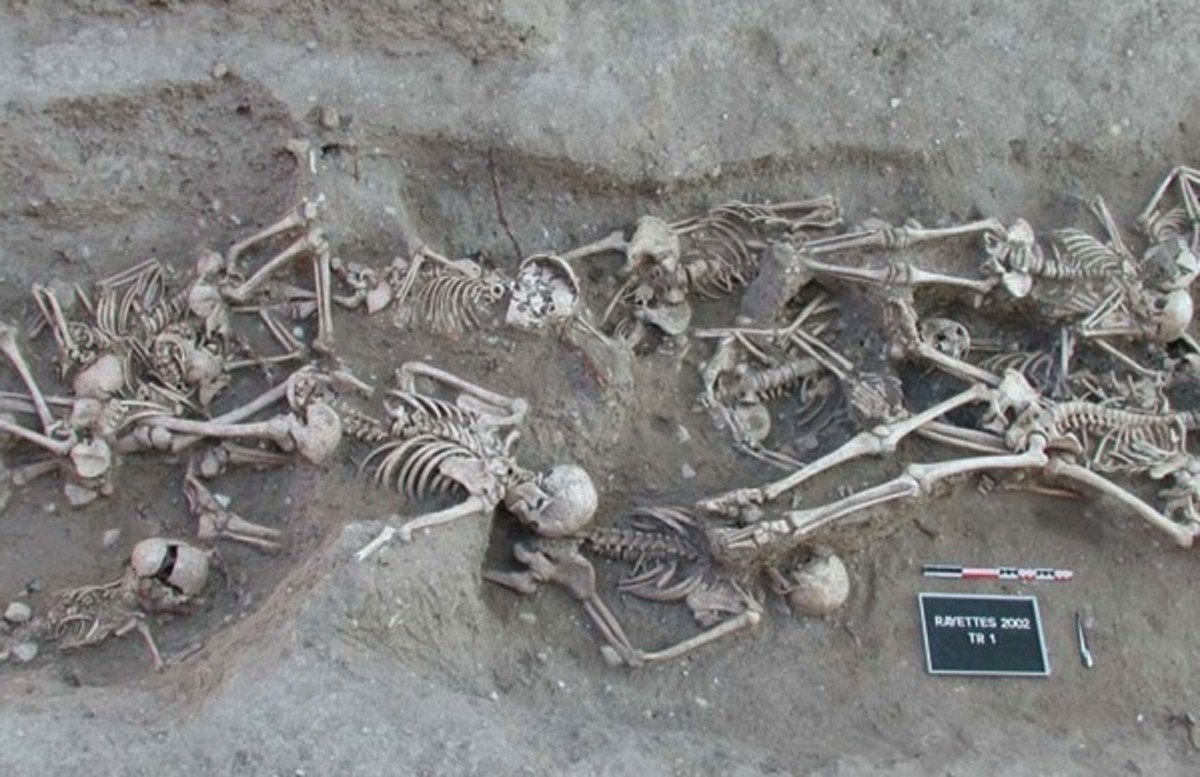 Black death victims showed evidence of having suffered from bubonic plague.
