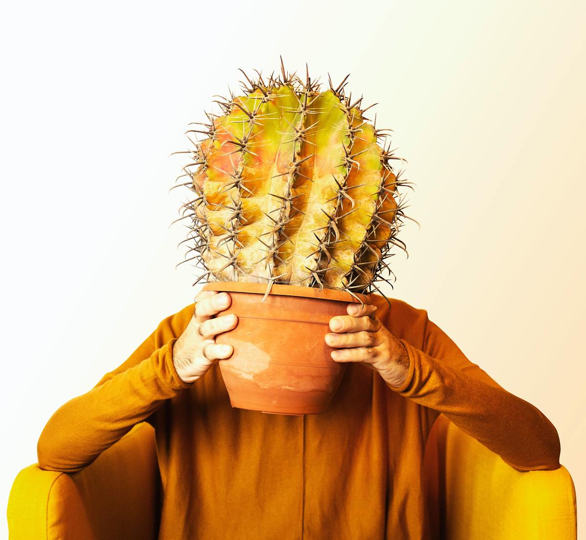 "The person who loses must carry around the biggest cactus they can find all day long."