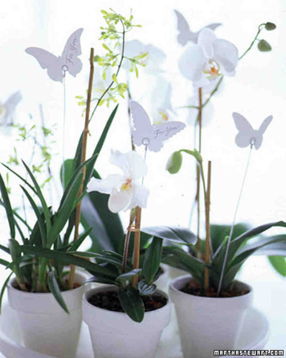 Use these potted orchids as a centerpiece and a favor at the same time