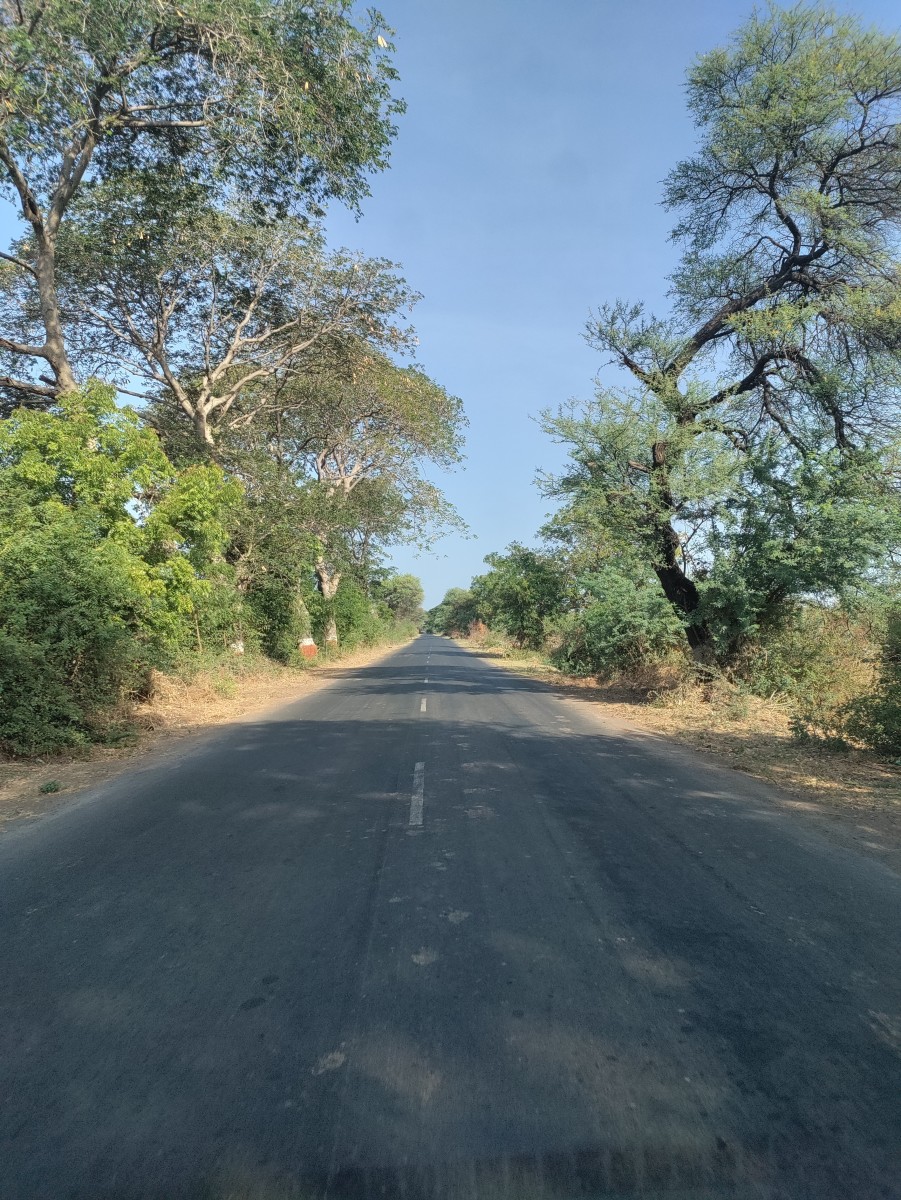 Road from Padra to Jambusar