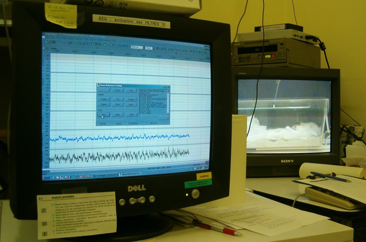 Rats that were prevented from dreaming died from hypothermia. The pictured setup is monitoring their brain waves (EEG), muscle tension (EMG), and behavior.