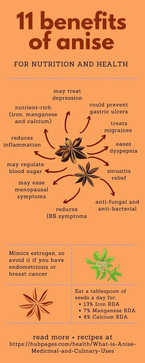 What Is Anise? Medicinal and Culinary Uses