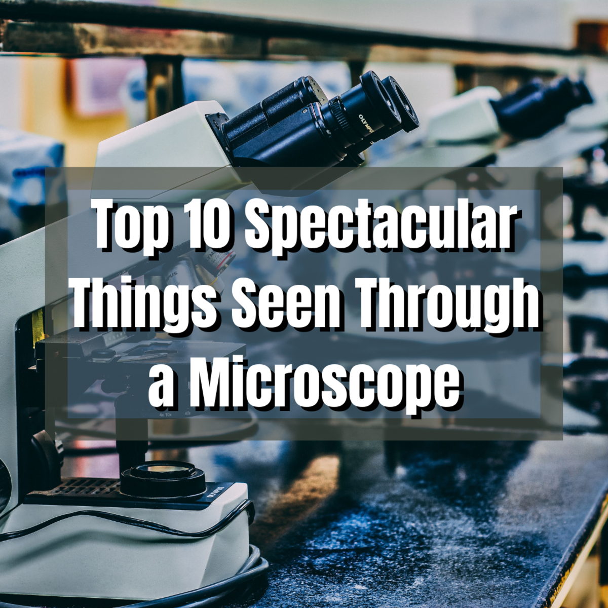 Read on to discover 10 of the most amazing things seen under a microscope, including orange juice and vinyl records!