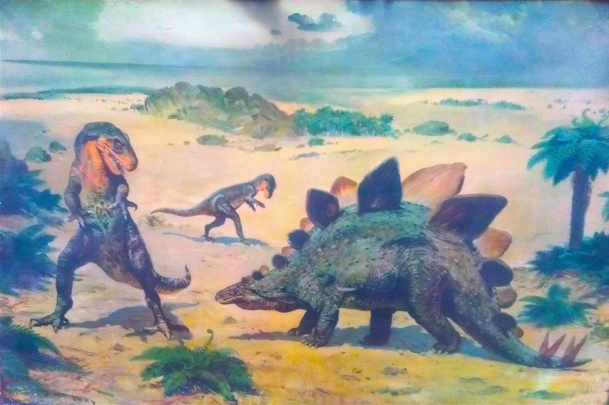 Stegosaurus and Allosaurus - a painting after Zdenek Burian on display at the Sofia University "St. Kliment Ohridski" Museum of Paleontology and Historical Geology