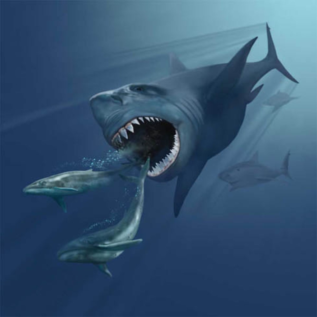 The Megalodon is One of the most Fearsome animal 