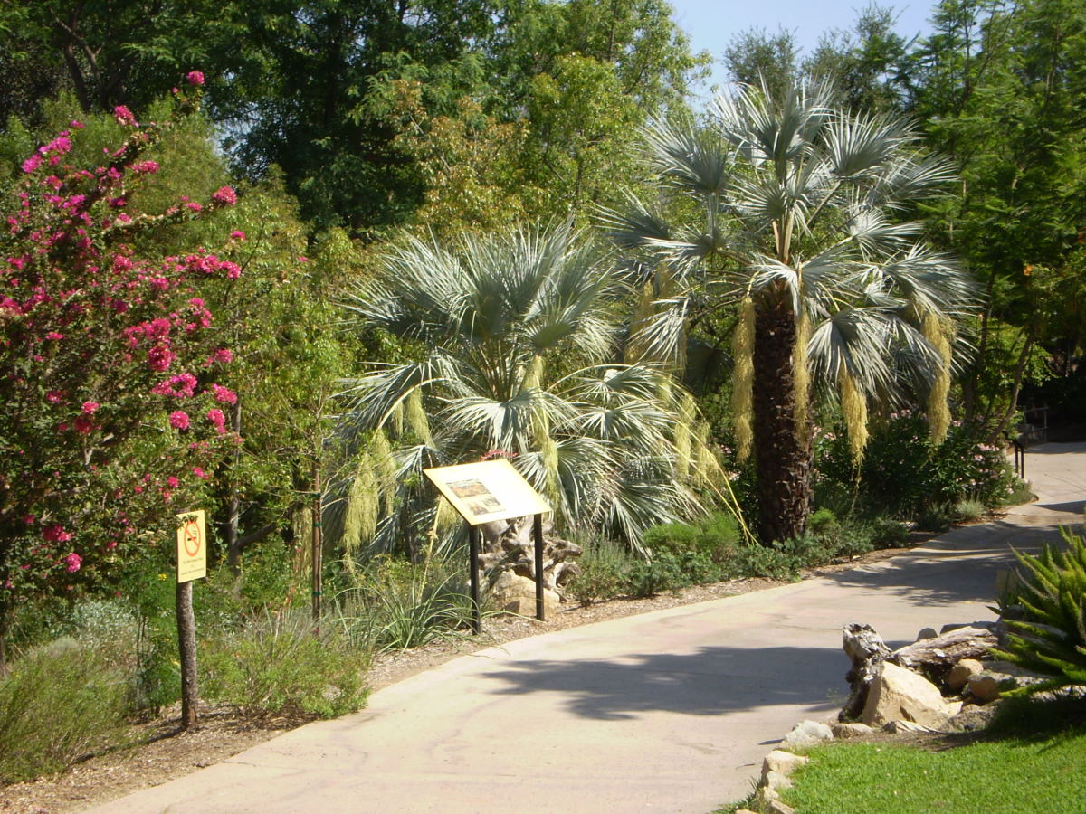 The beautiful botanical landscaping found throughout San Diego Zoo and Safari Park.