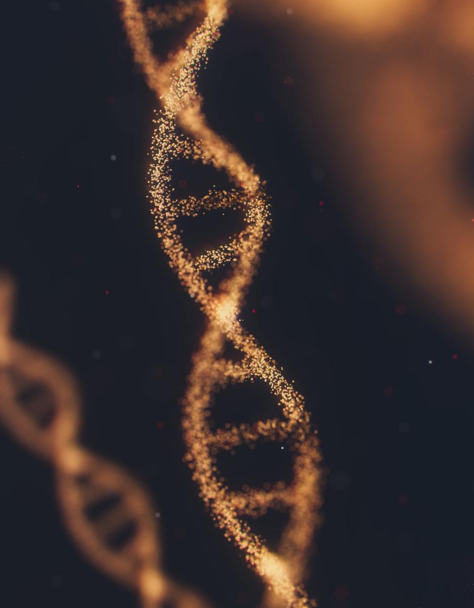 What's the difference between DNA and RNA?