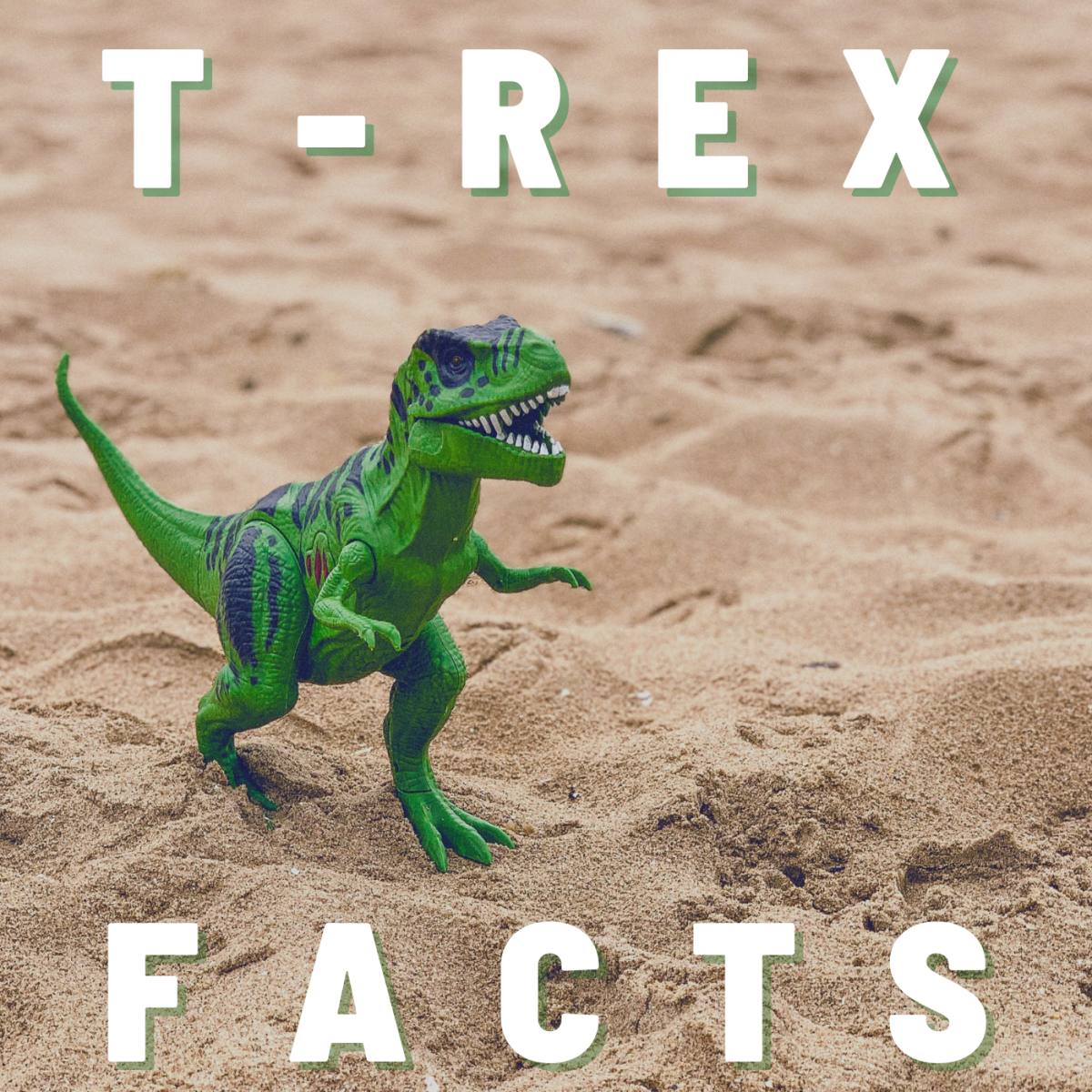 Quick facts about the terrifying T-Rex
