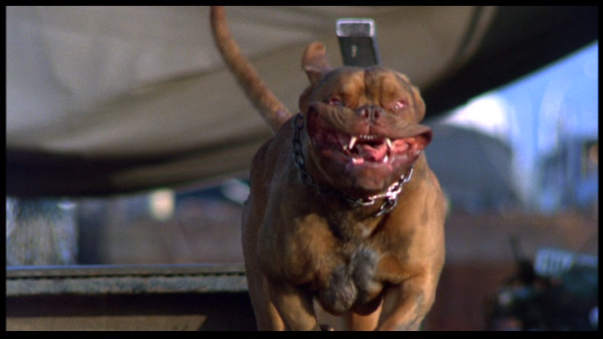 Dogs, which are always funny in slow motion, are liable to steal the show in any film and this is no exception. Beasley's slobbery appearance generates much of the film's mirth.