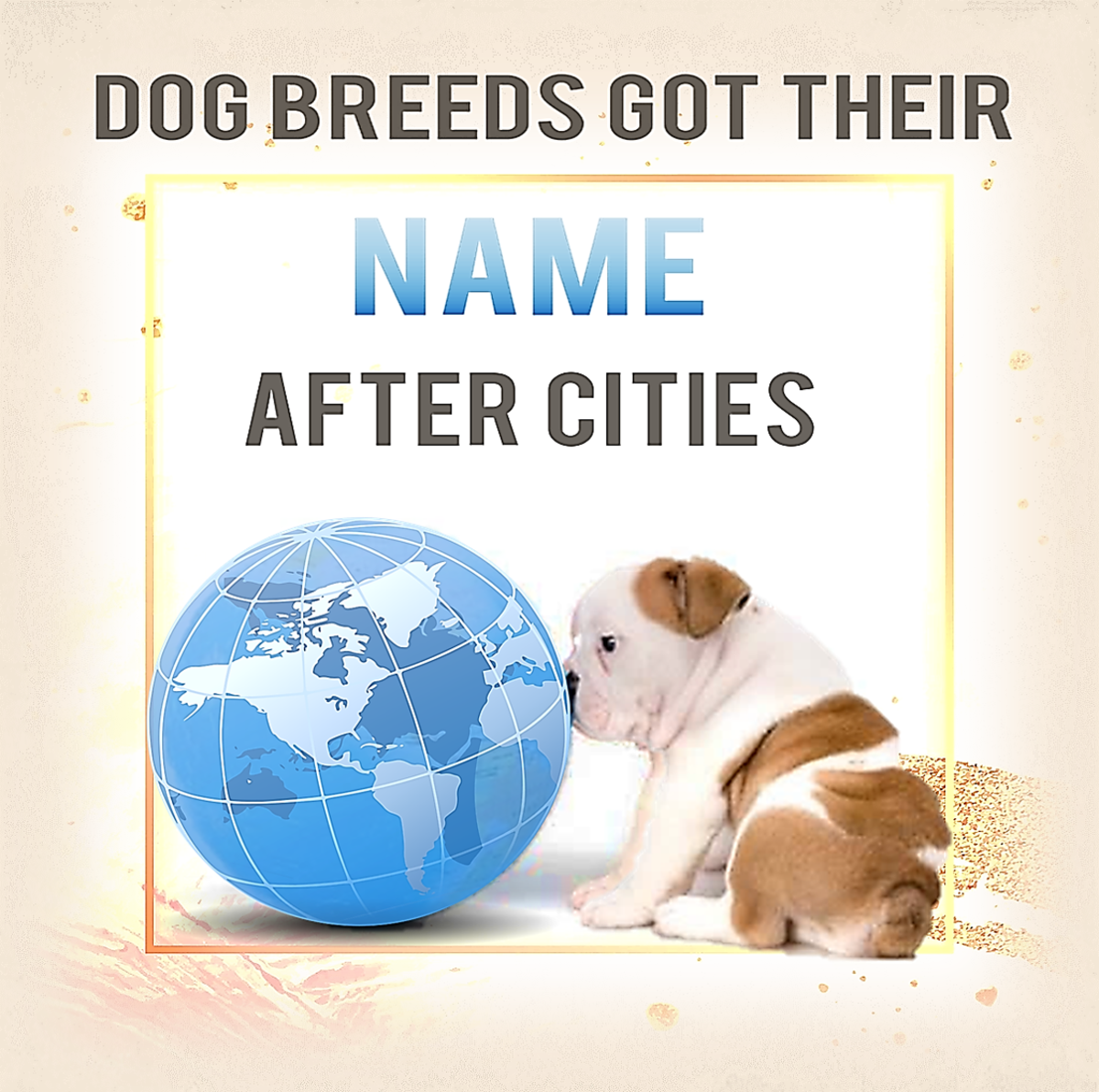 15 Dog Breeds Named After Cities
