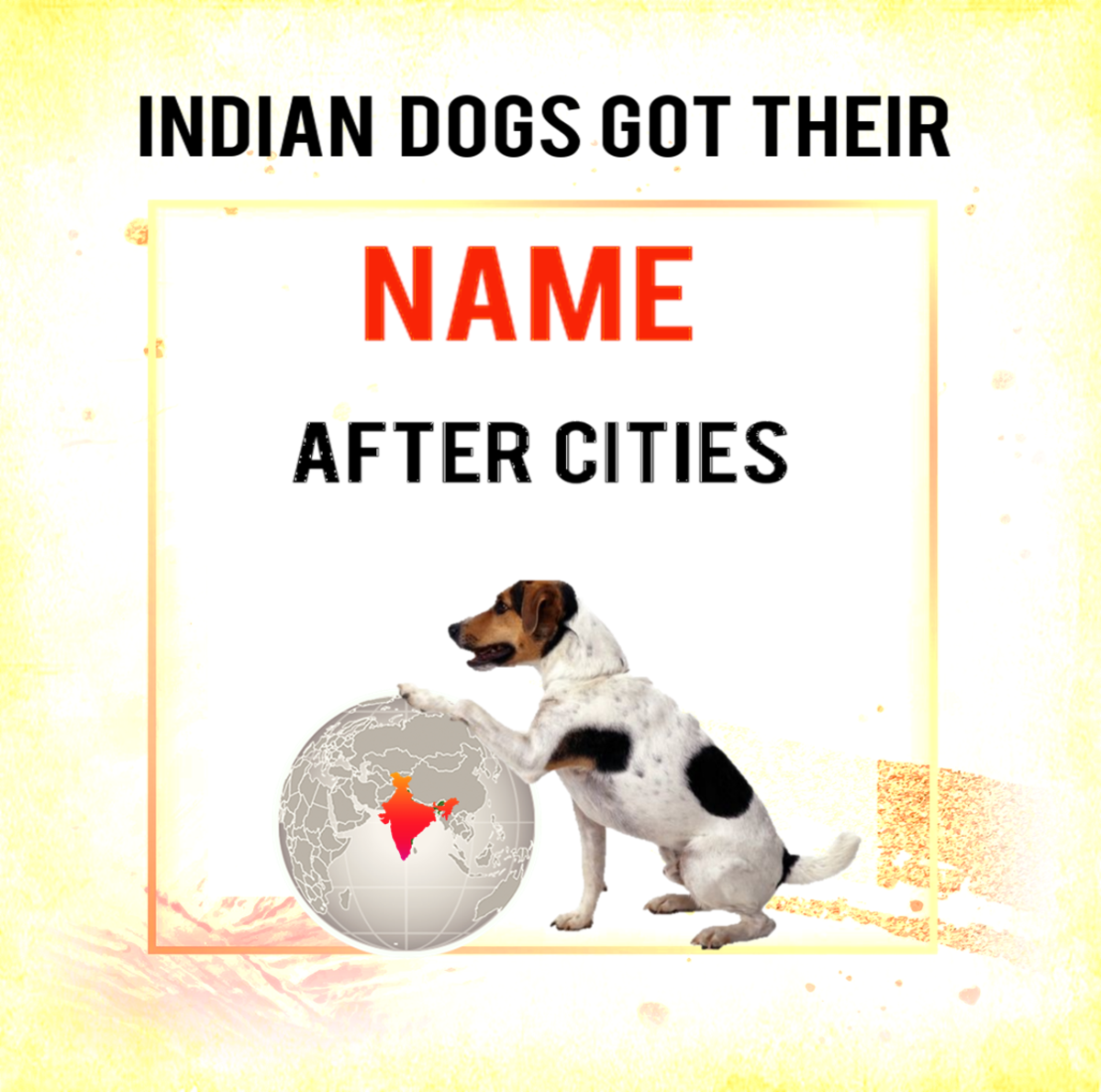 7 Indian Dog Breeds Named After Cities