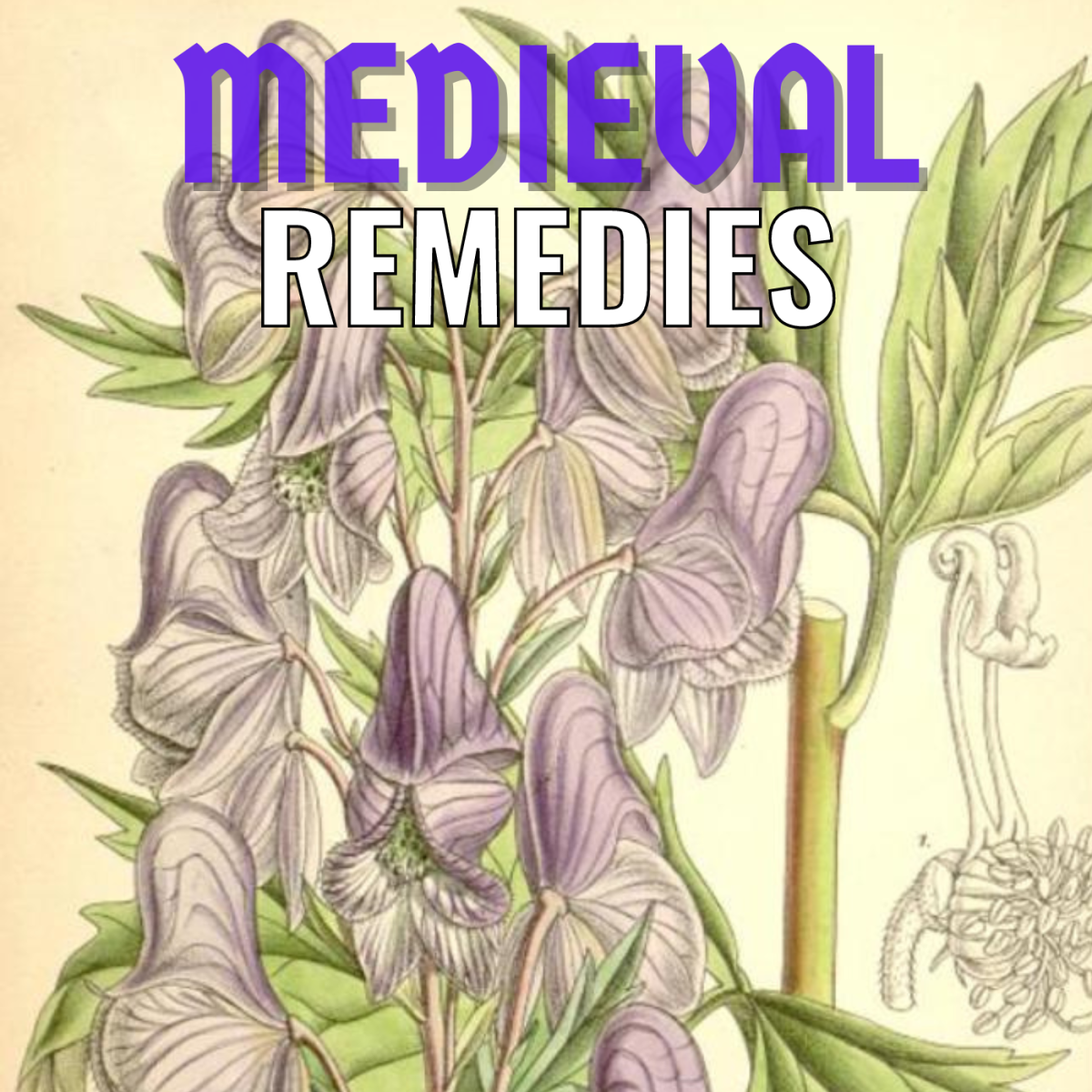 Medieval Remedies, Diseases and Cures Dark Days of Medicine Owlcation