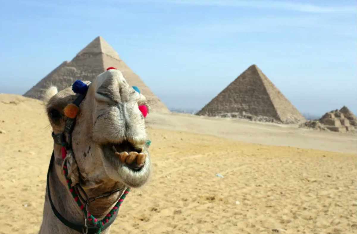 Egypt: Pyramids, Mummies, and Baklava: Hands-on Lesson for Kids
