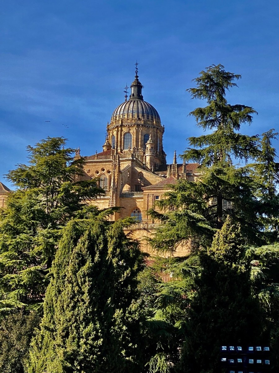 Top Places to Visit in the Golden City of Salamanca, Spain