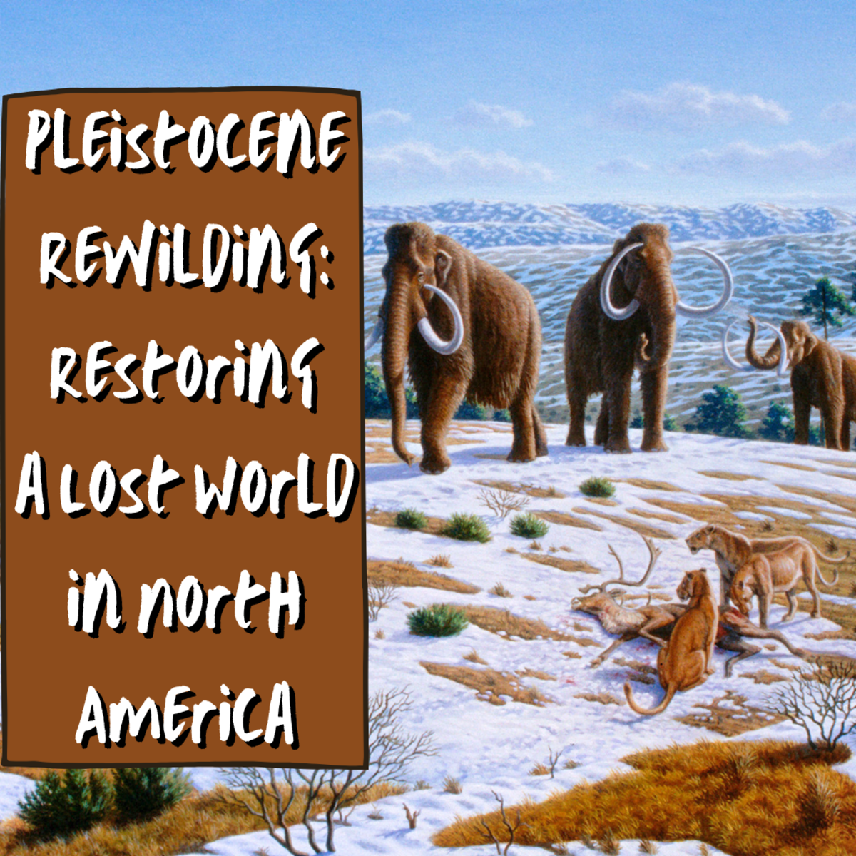 Pleistocene Rewilding: Restoring a Lost World in North America
