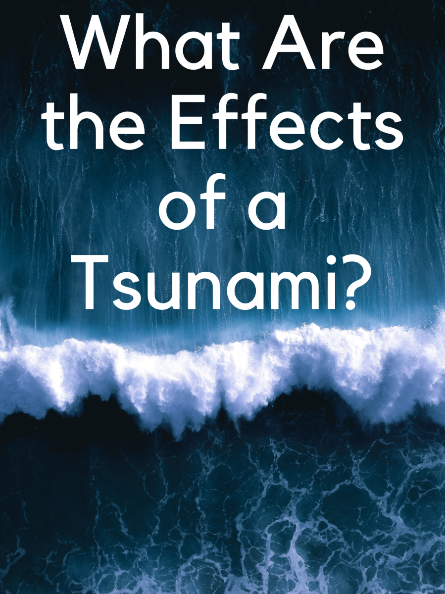 Tsunamis are extremely deadly. But what are the effects of one?