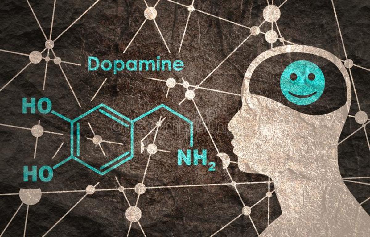 Meth acts on the same receptors in the brain as other stimulant drugs.