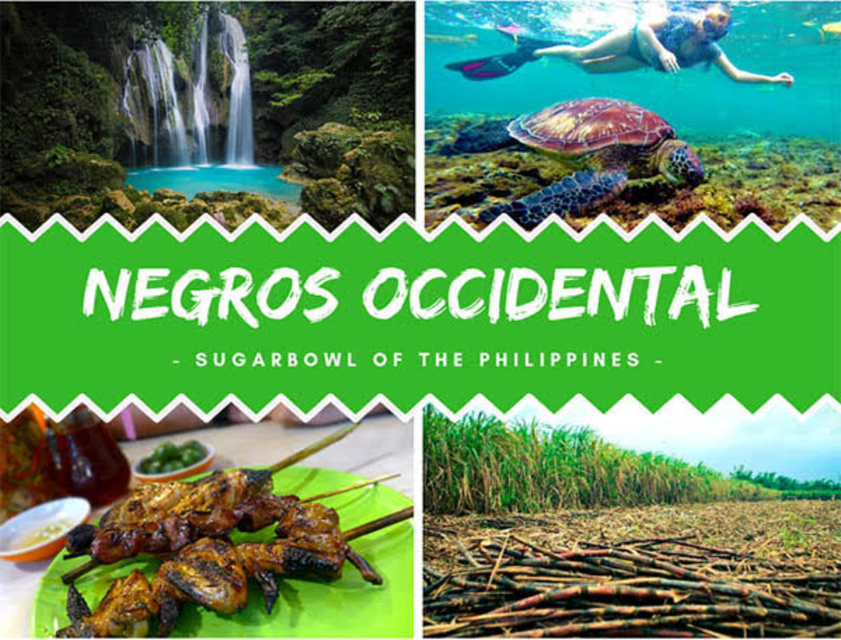 Don't Waste Time! Until You Reach Your Travel Distination In Negros Occidental