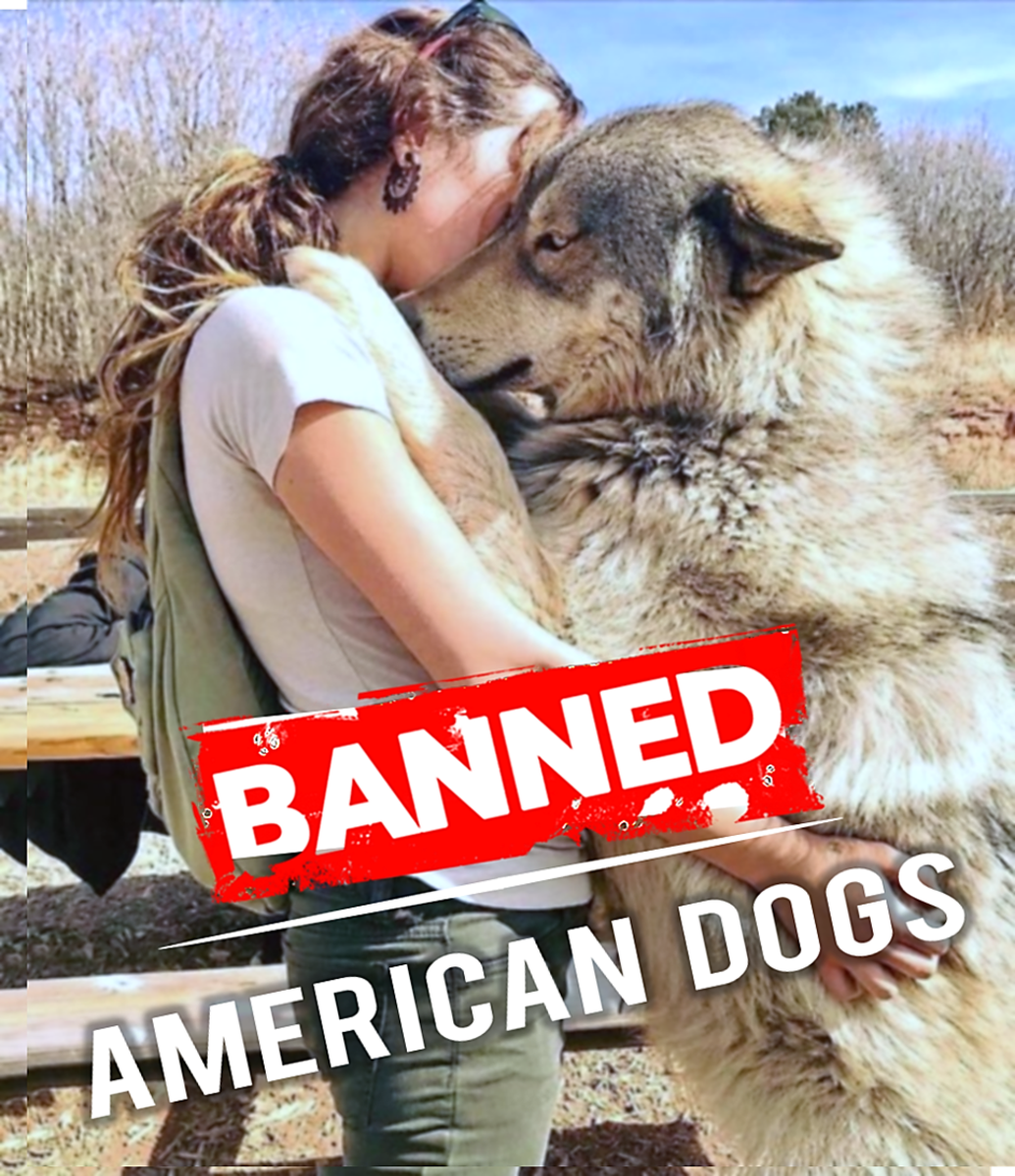 Five American Dogs Banned in Other Countries