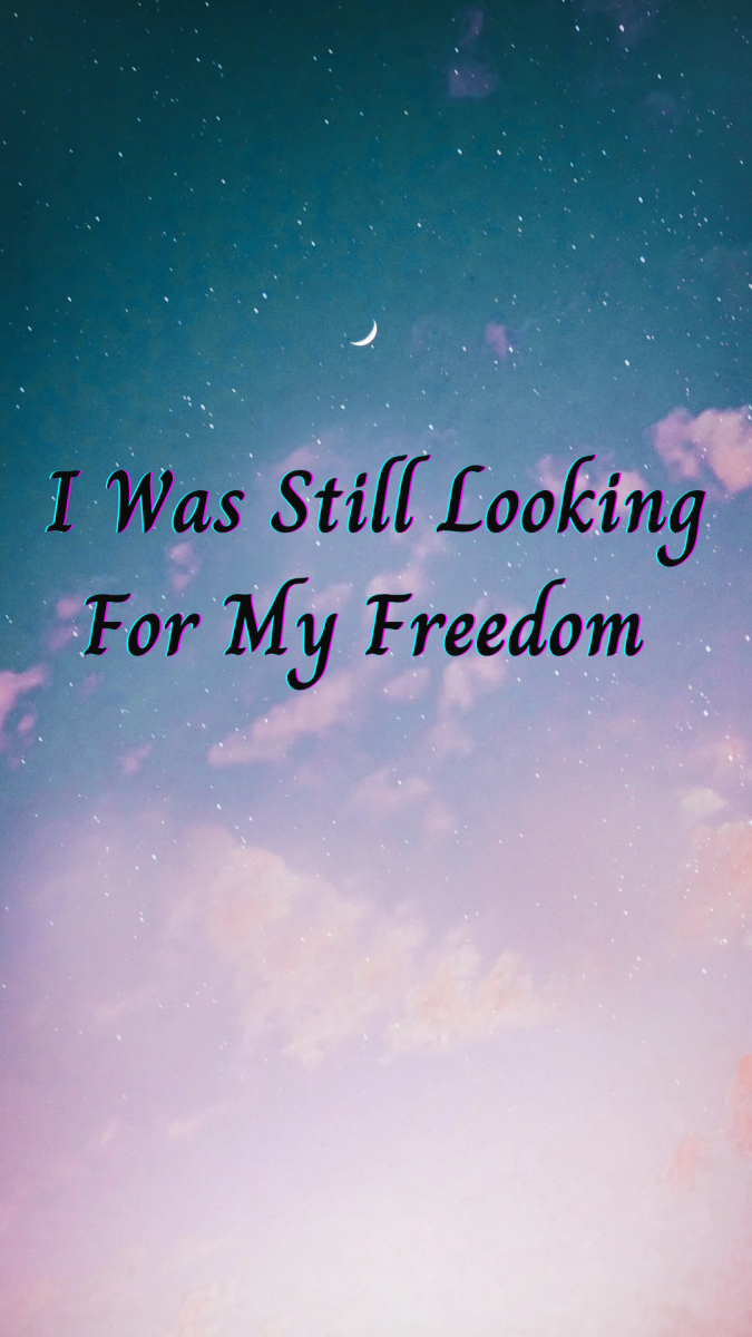i-was-still-looking-for-my-freedom
