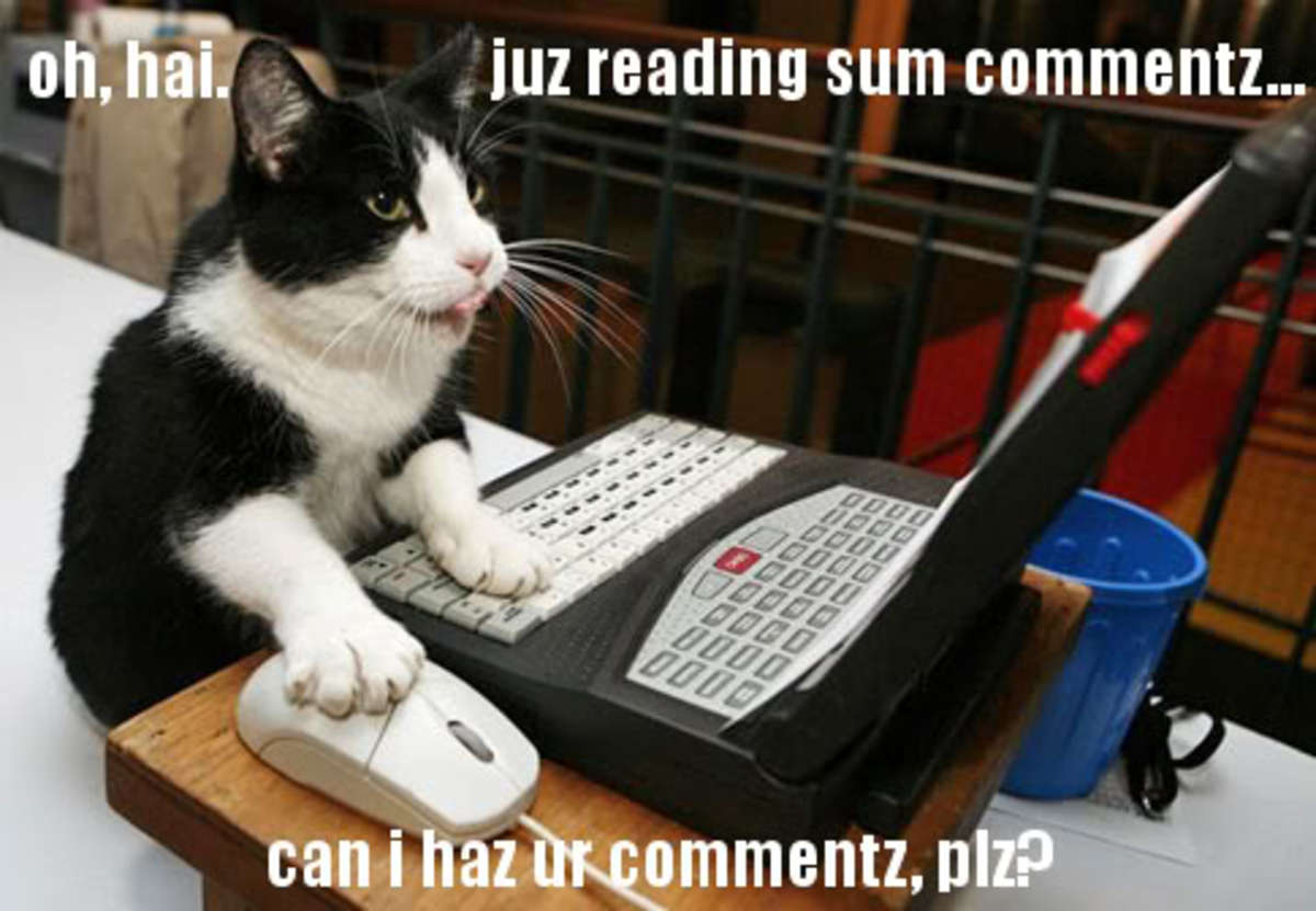what-do-you-do-when-someone-leaves-a-mean-comment-on-your-hub