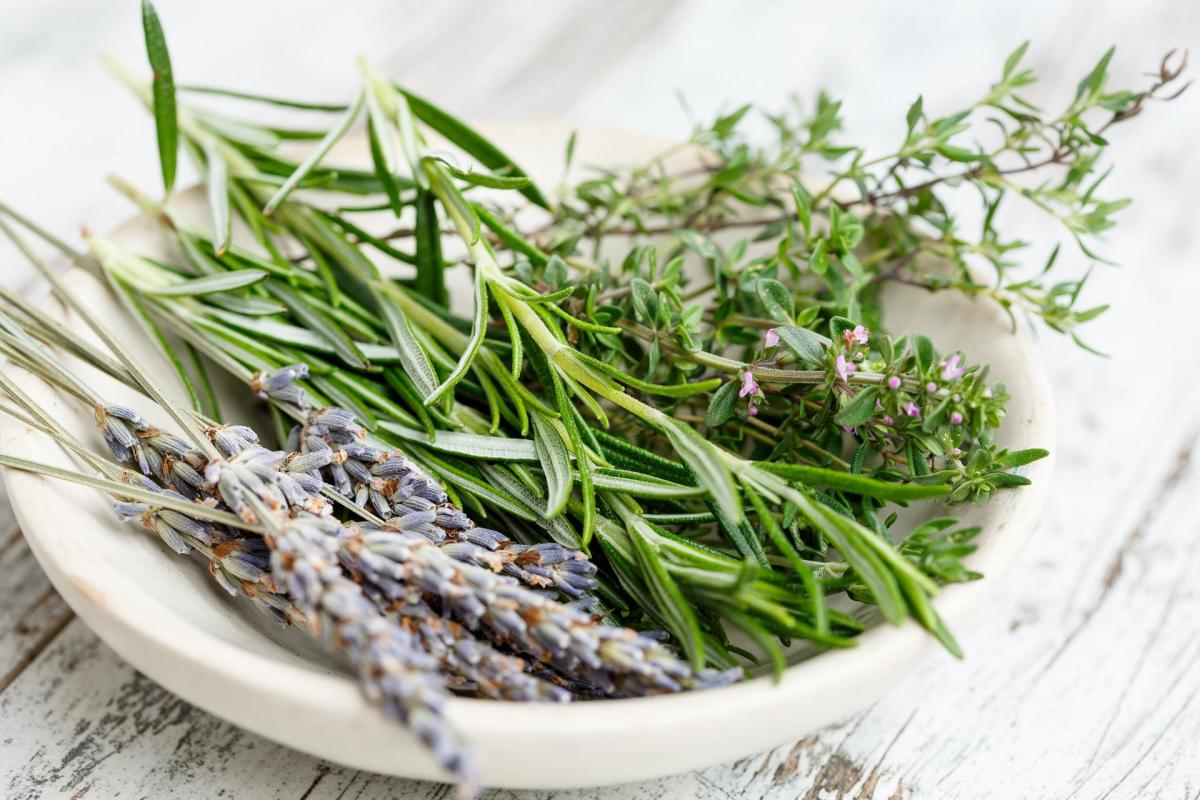 10 Culinary Herbs You Need to Grow and Dry This Summer