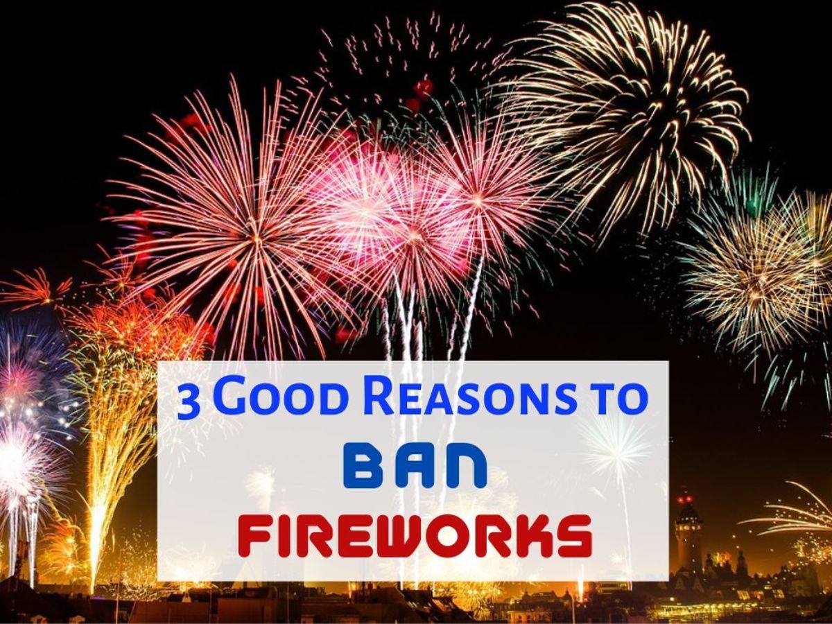 Fireworks are harmful to people, animals, and the environment.