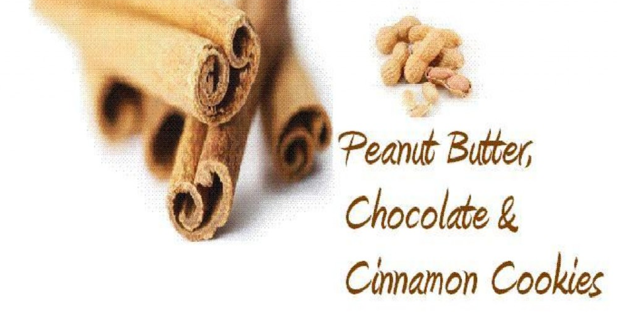 Peanut Butter,Chocolate & Cinnamon Cookie Recipe