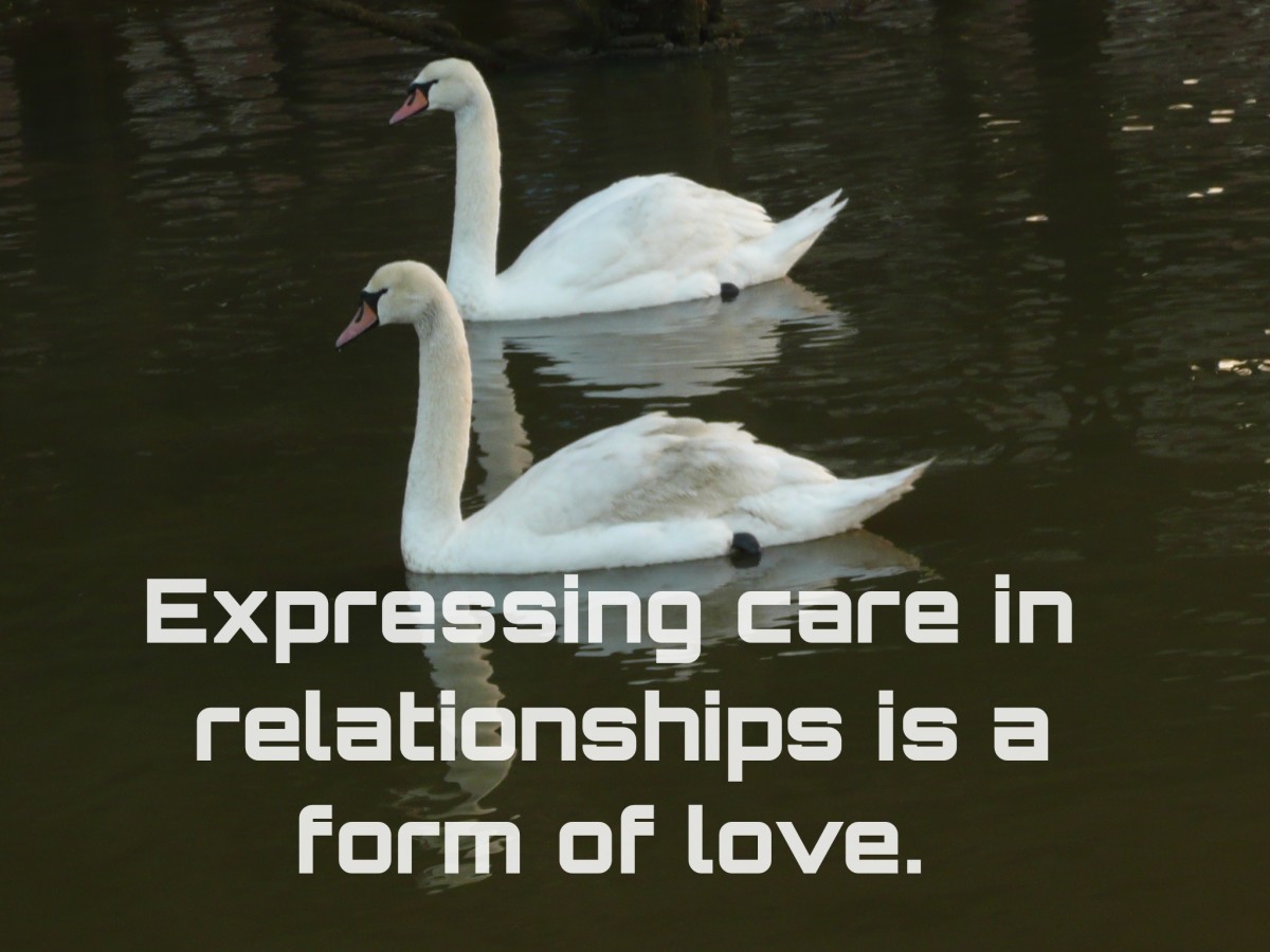 Love is a combination of care, trust, responsibility, commitment, and knowledge.