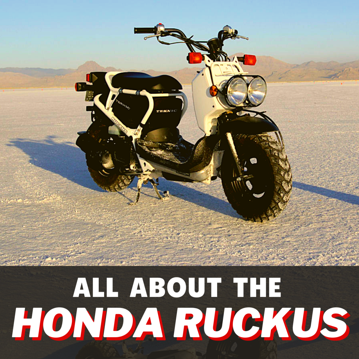 Everything you need to know about the Honda Ruckus.