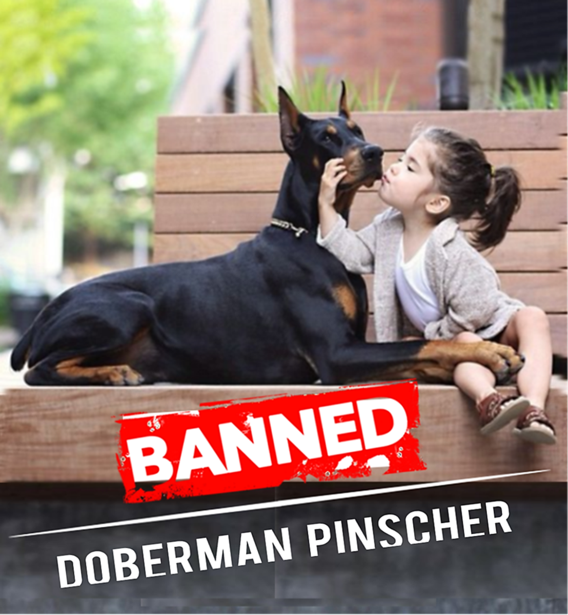 where is doberman banned?