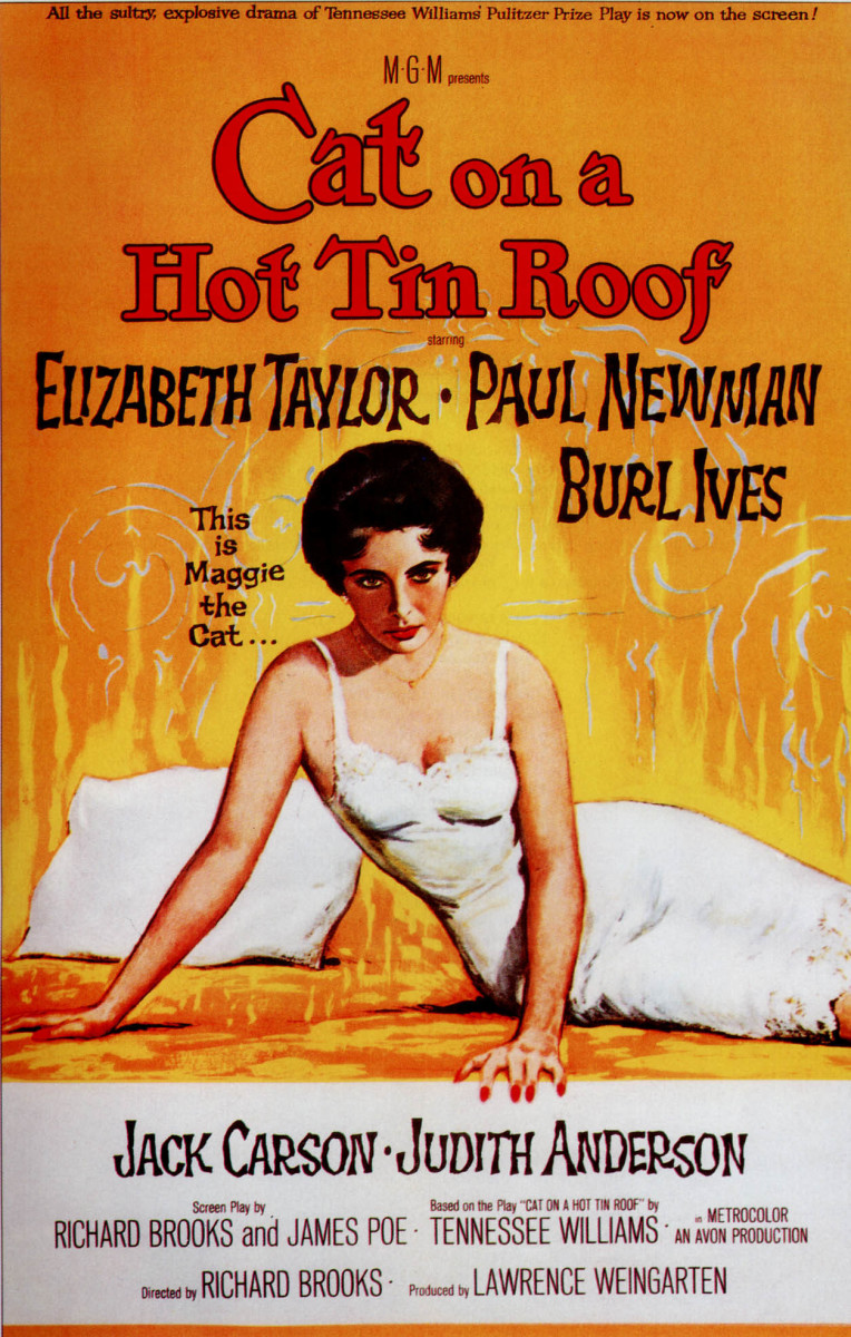 Cat on a Hot Tin Roof: A Family Grapples With the Difficulties of Life