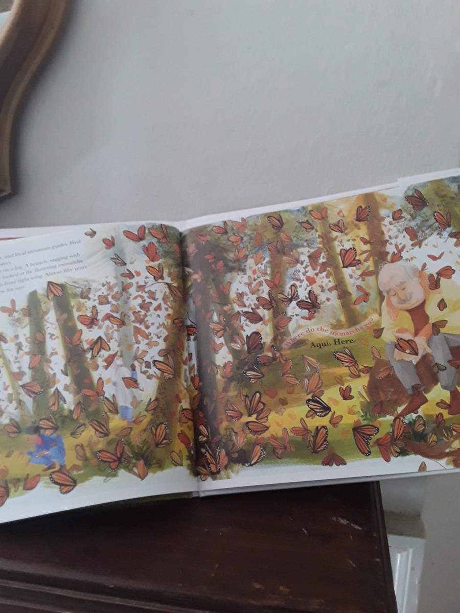 monarch-butterflies-migration-and-fun-facts-in-beautiful-picture-book-and-story-for-young-readers