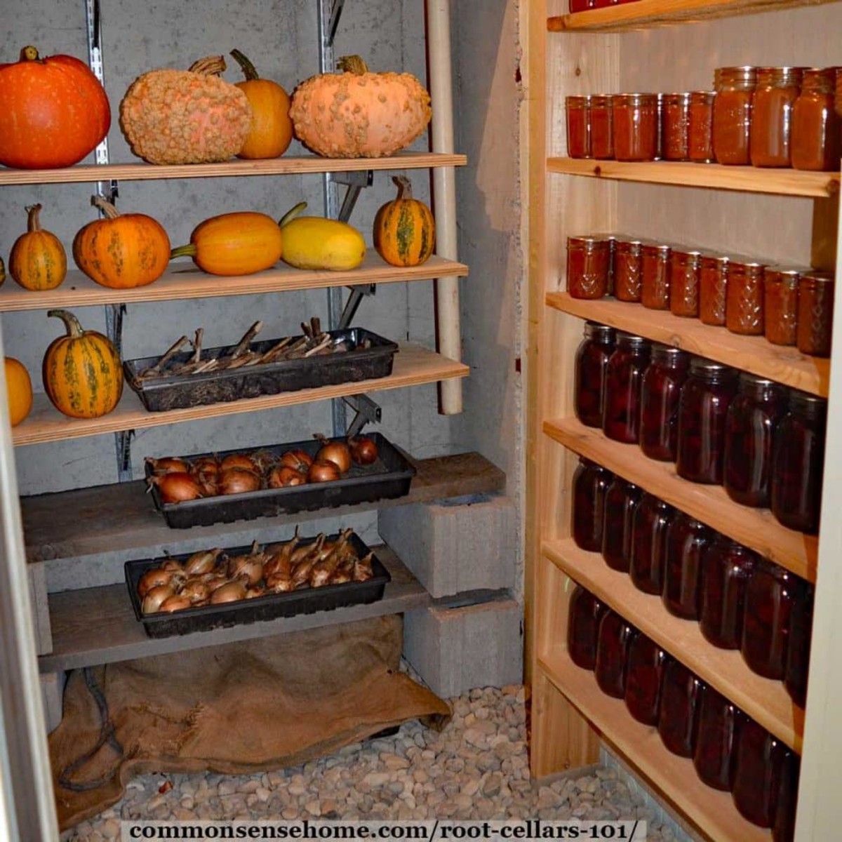 The inside of  a well-organized root cellar.