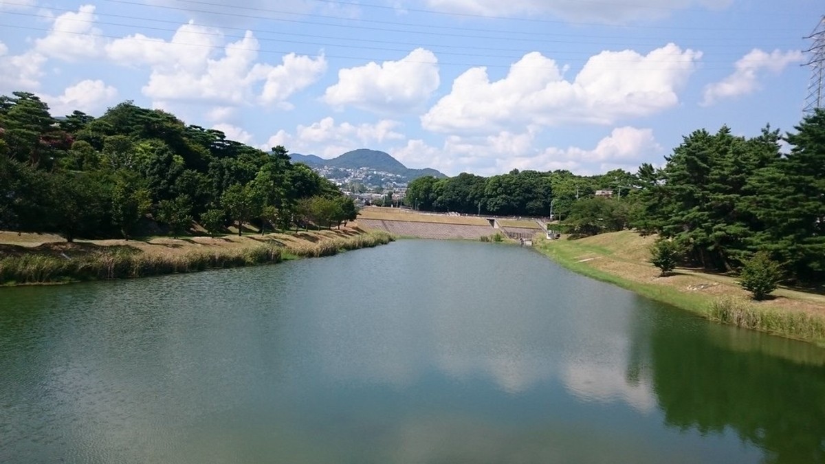 The pond in Grave of the Fireflies is based on Niteko Pond in Nishinomiya, Hyōgo Prefecture, Japan.