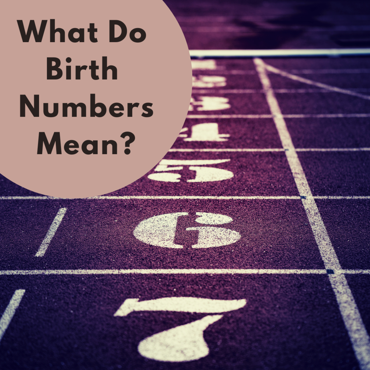 Birth Numbers are powerful and carry a lot of meaning in numerology.