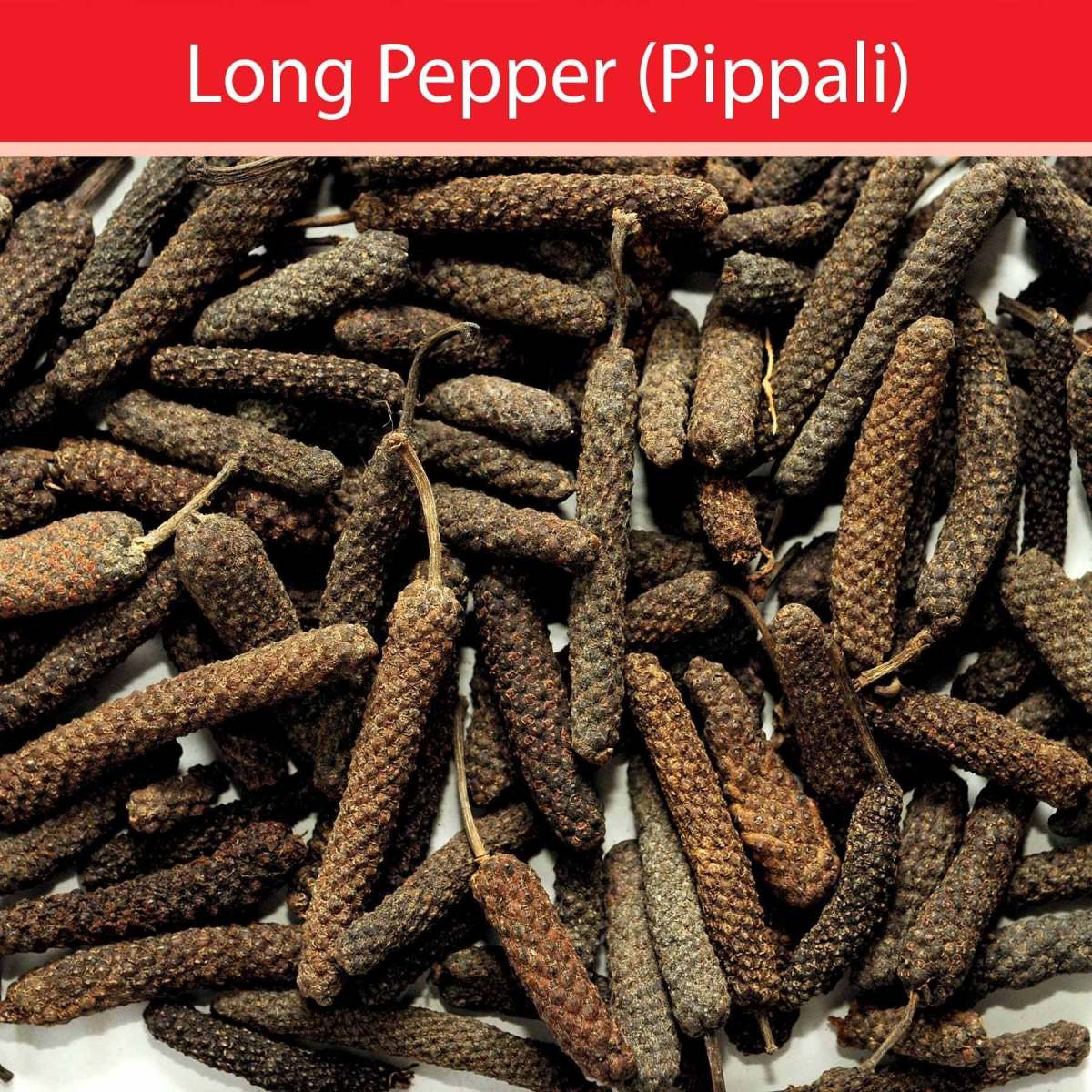 long-pepper-the-spice-that-we-forgot