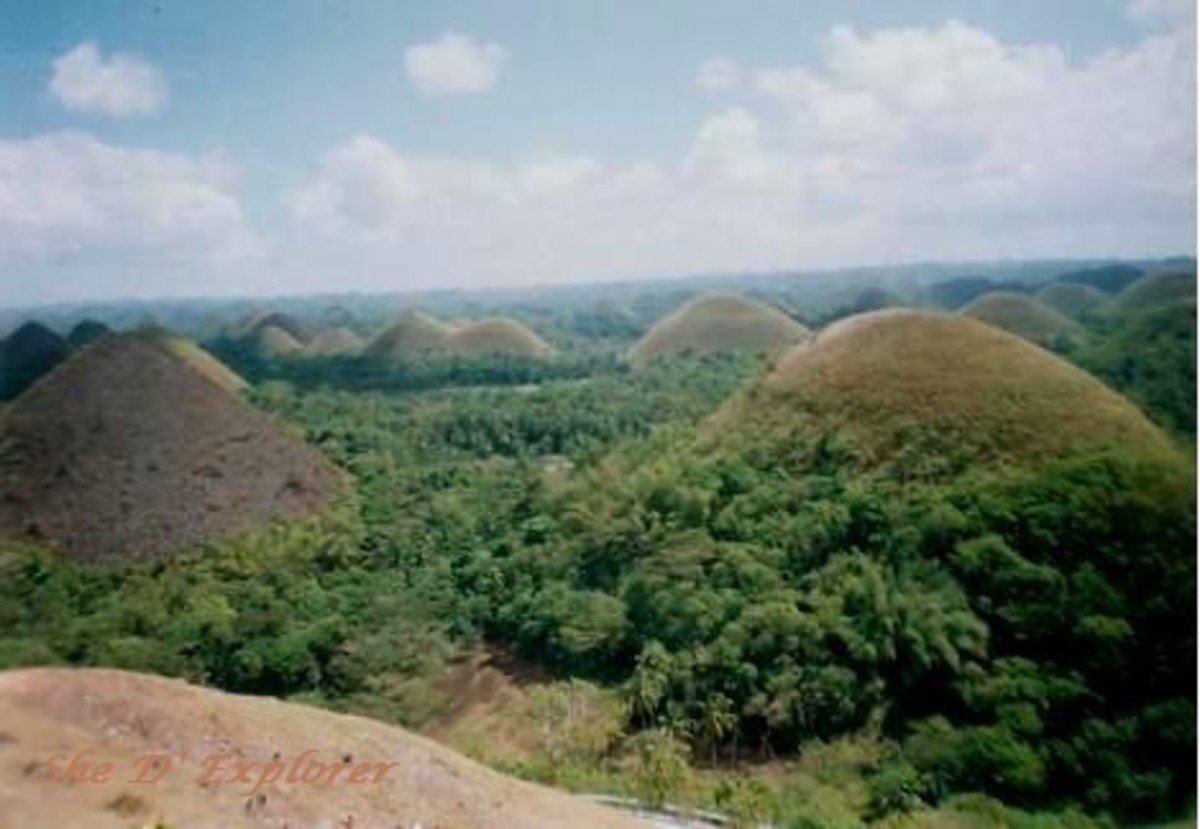 The world famous Chocolate Hills
