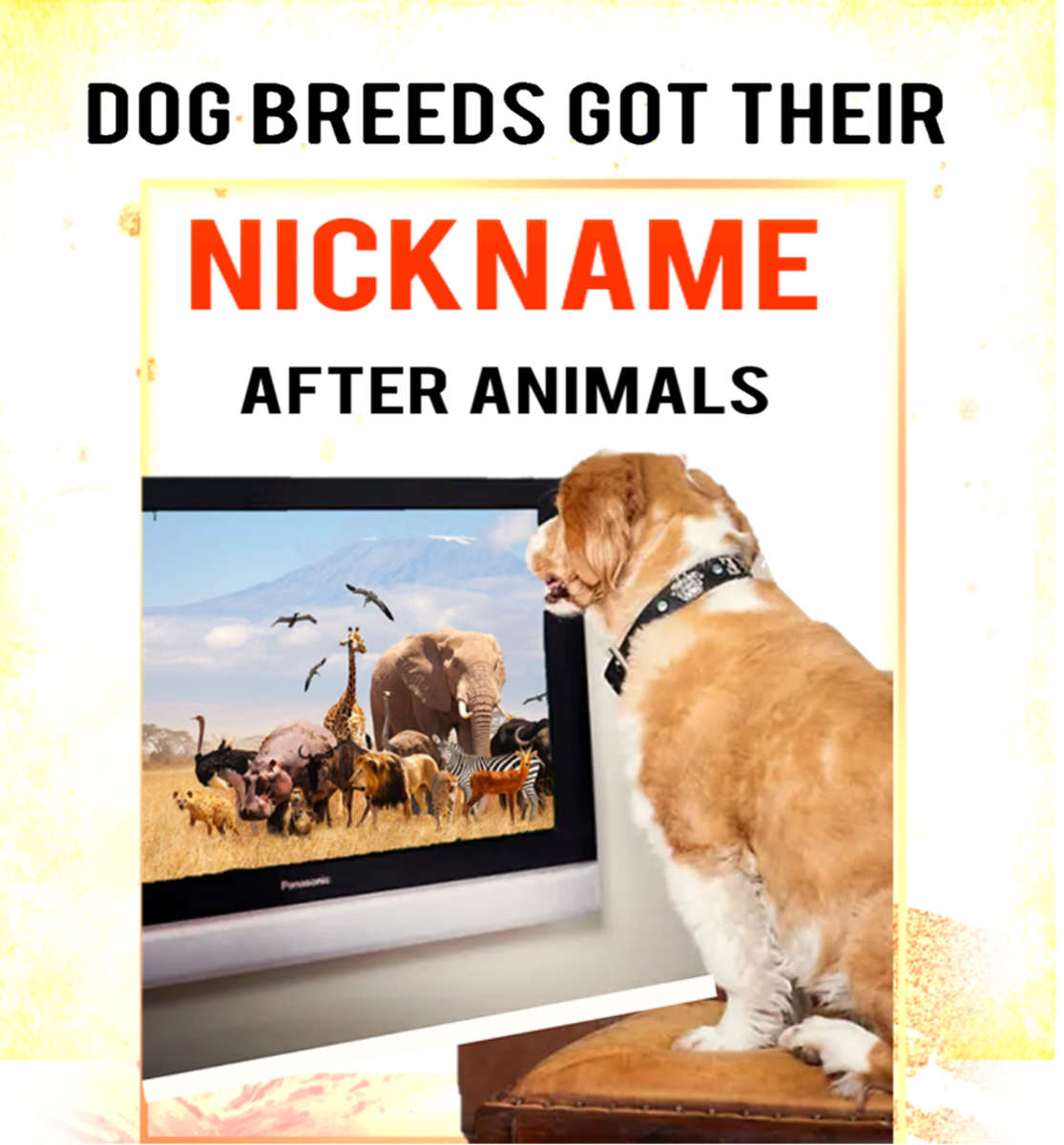 7 Dog Breeds Got their Nickname After Animals