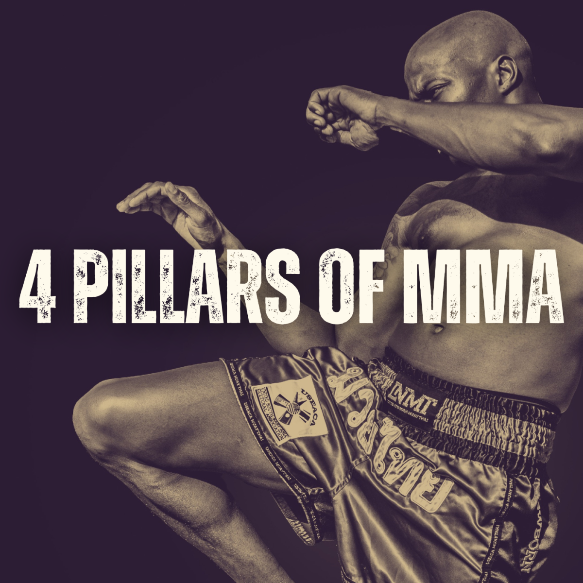 The four staple styles in mixed martial arts are boxing, wrestling, Brazilian jiu-jitsu or submission wrestling, and muay Thai or kickboxing. Learn more about these disciplines and their importance in MMA.