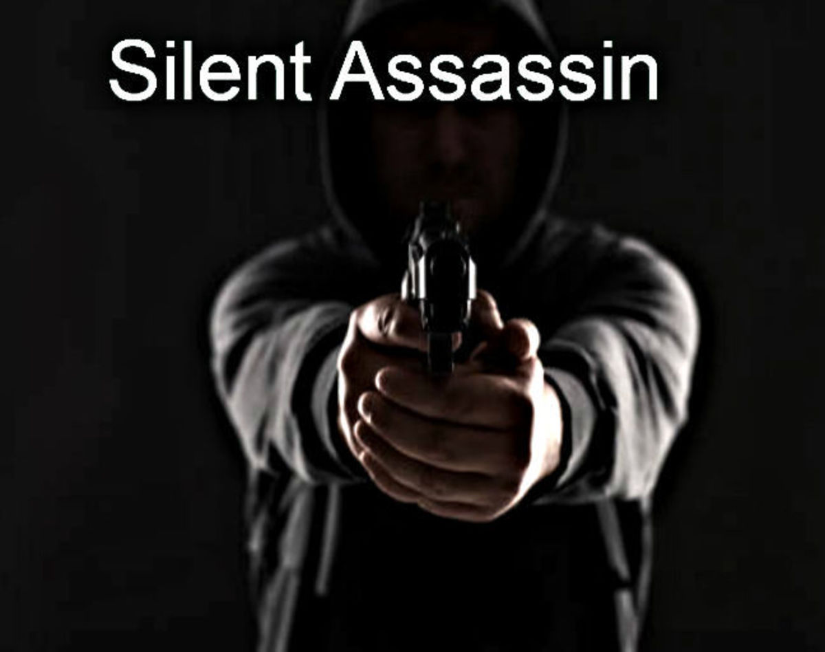 Silent Assassin 13