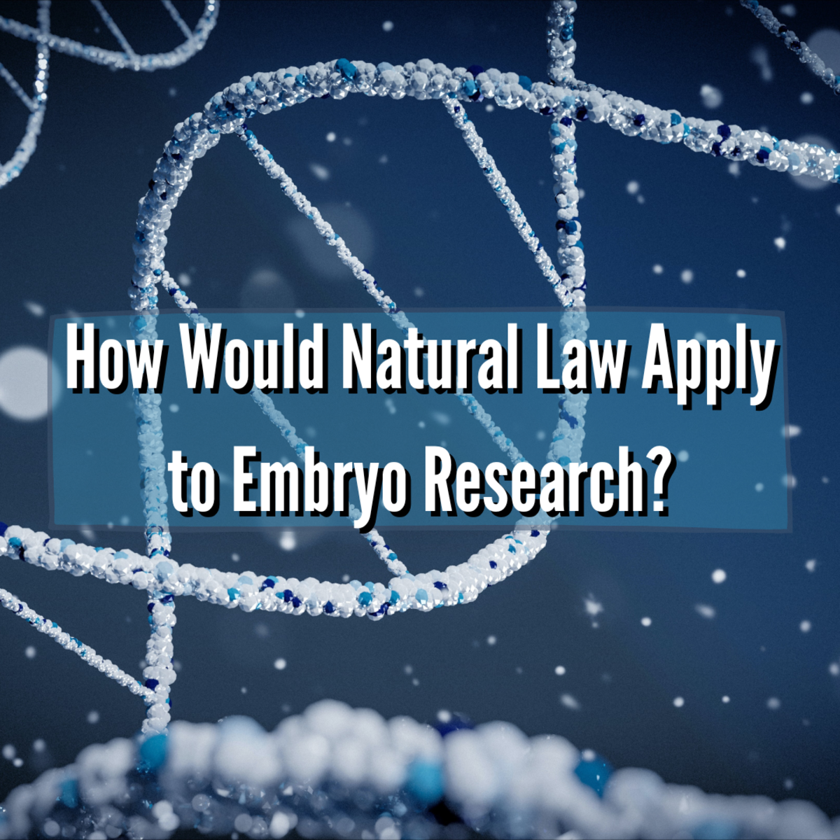 How Would Natural Law Apply to Embryo Research?