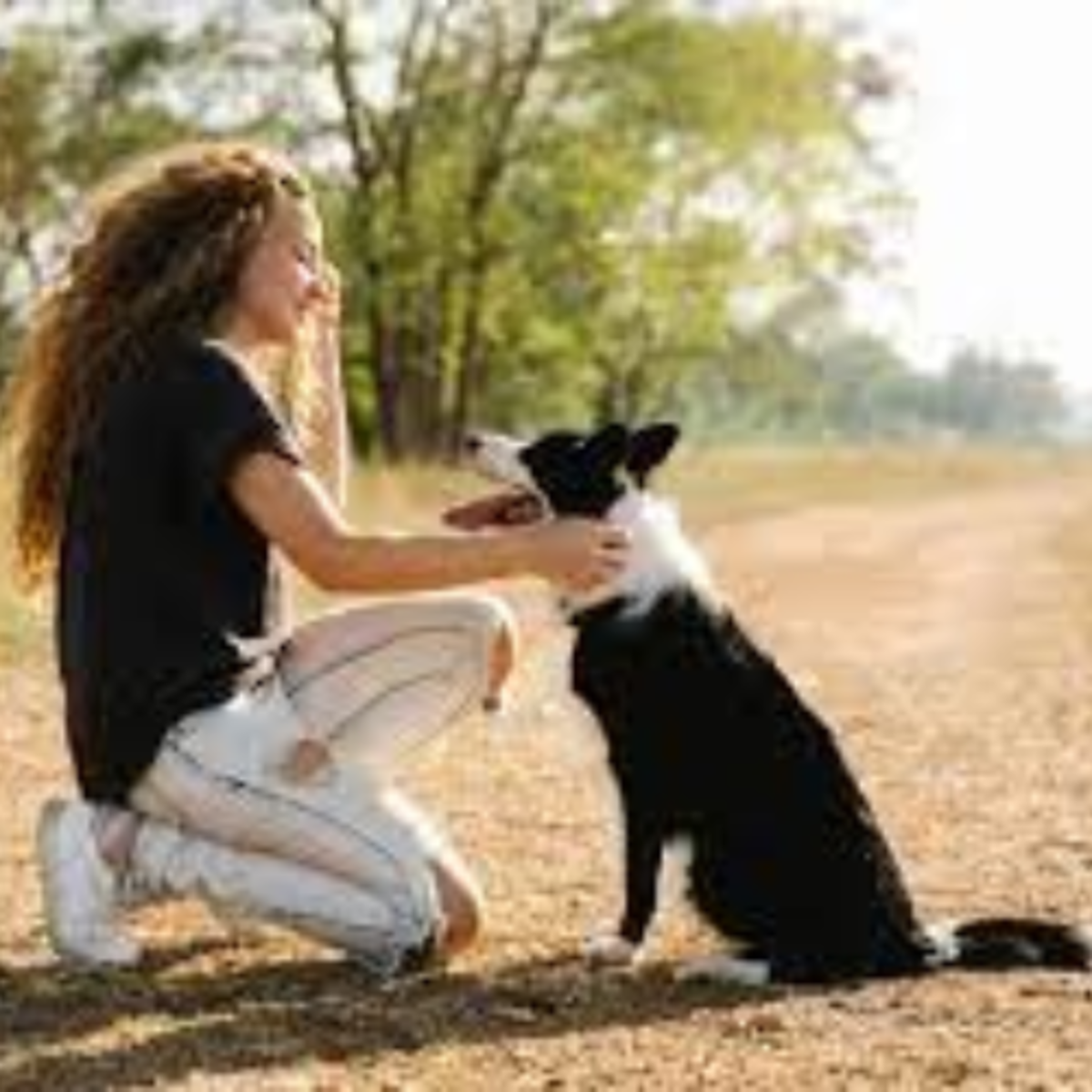 How You Become Your Dog's Best Friend