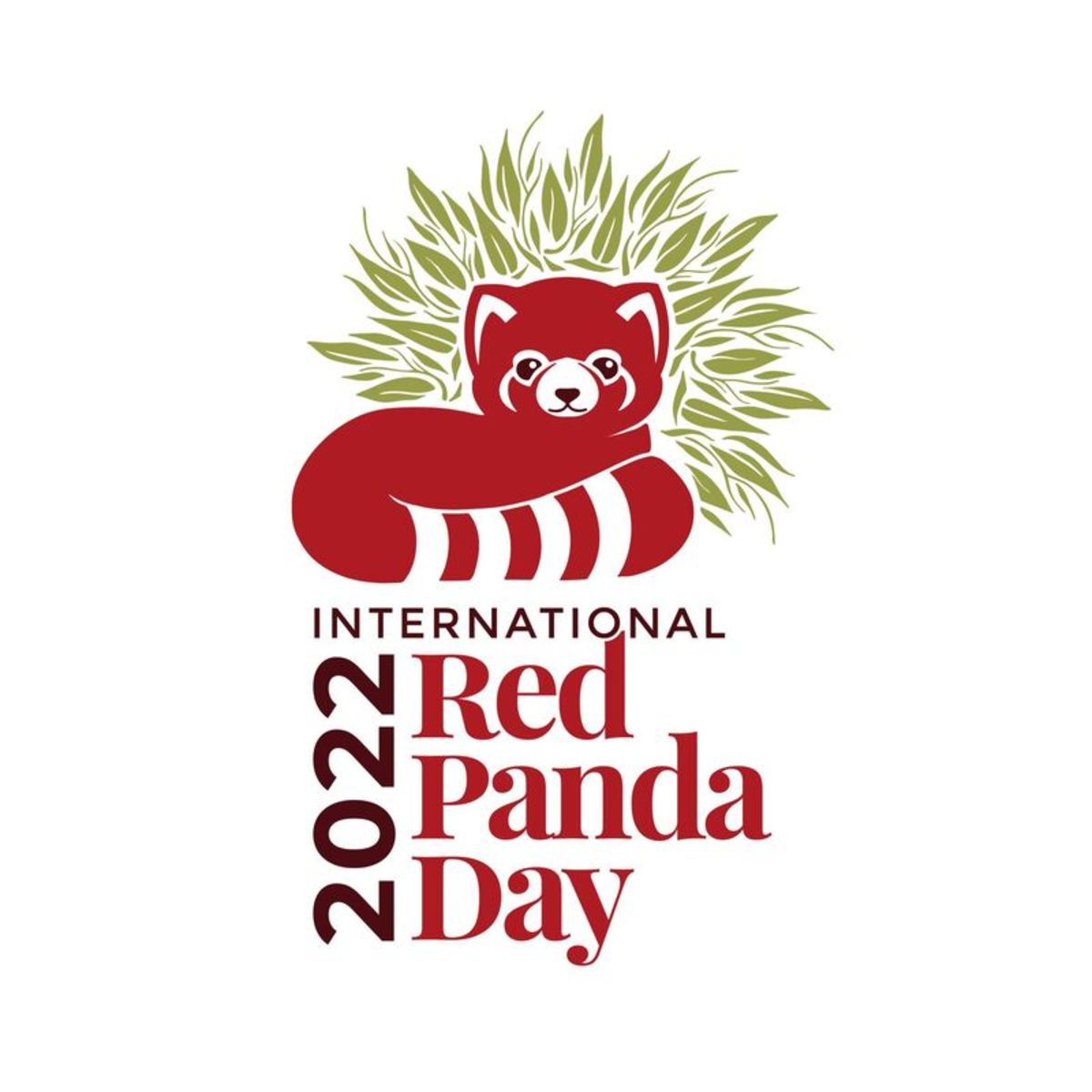 International Red Panda Day HubPages