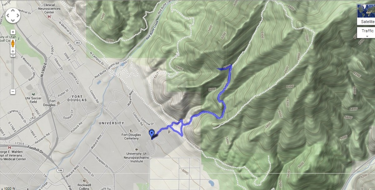GPS Map of the Living Room Trail