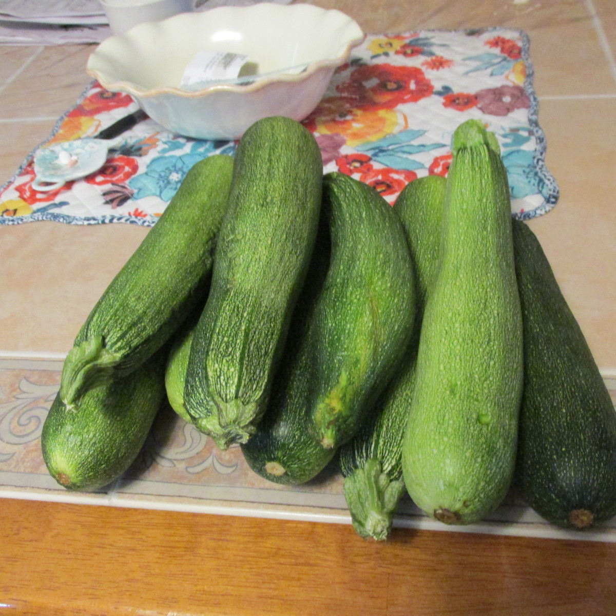 This is just a small fraction of our zucchini harvest this year!