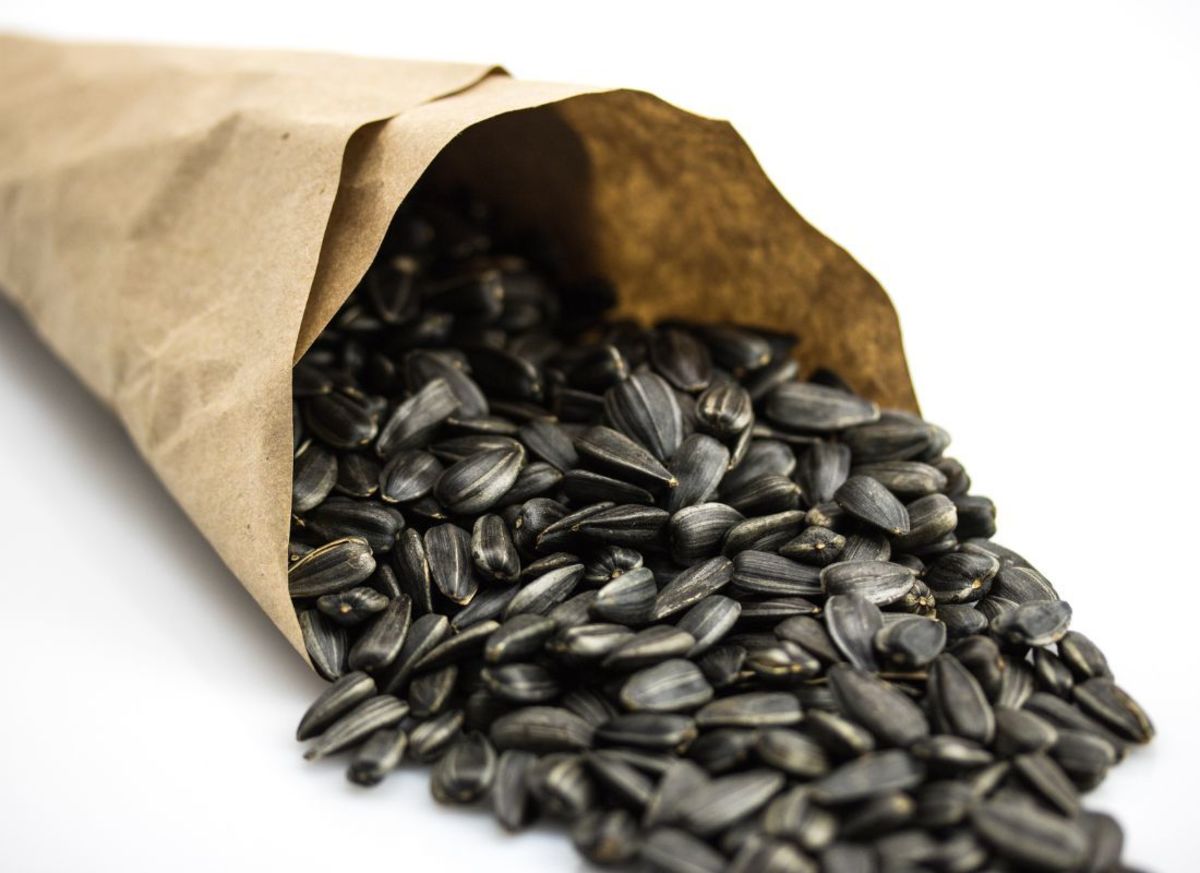 can-you-be-addicted-to-sunflower-seeds